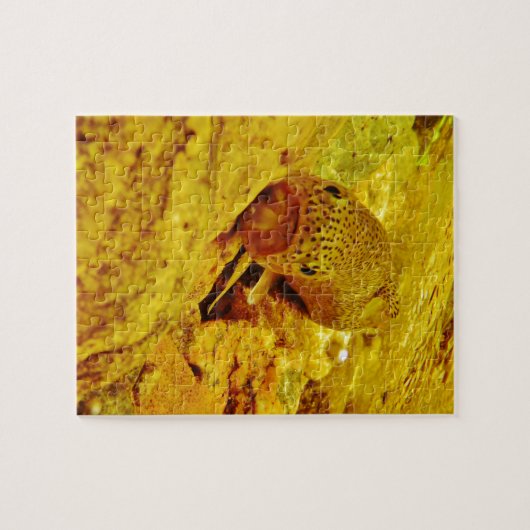 Forel in stroom legpuzzel (Horizontaal)