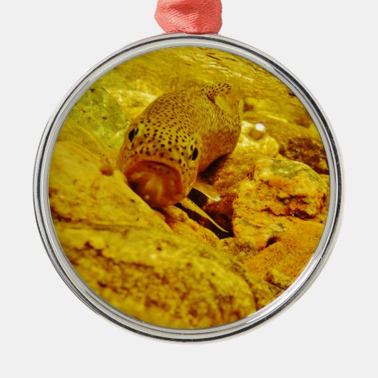 Forel in stroom metalen ornament (Voorkant)