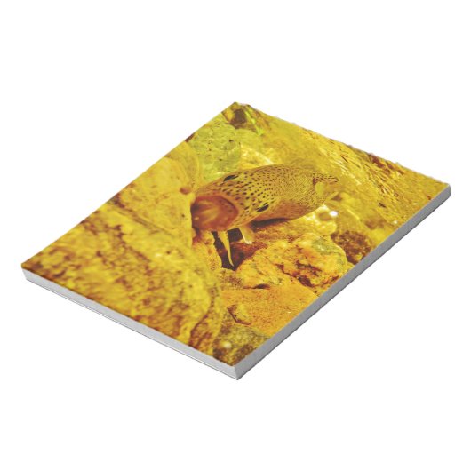 Forel in stroom notitieblok (Linkerzijde)