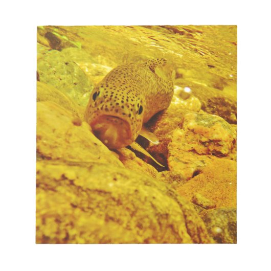 Forel in stroom notitieblok (Voorkant)