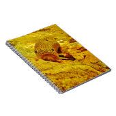 Forel in stroom notitieboek (Rechterzijde)