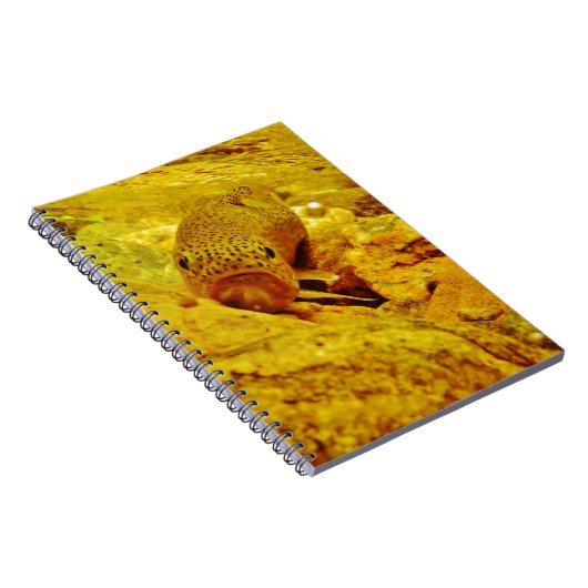 Forel in stroom notitieboek (Rechterzijde)