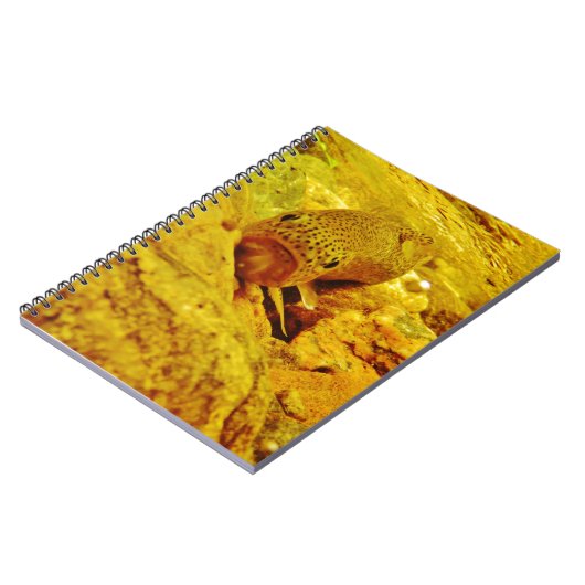 Forel in stroom notitieboek (Linkerzijde)