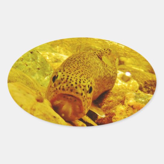 Forel in stroom ovale sticker (Voorkant)