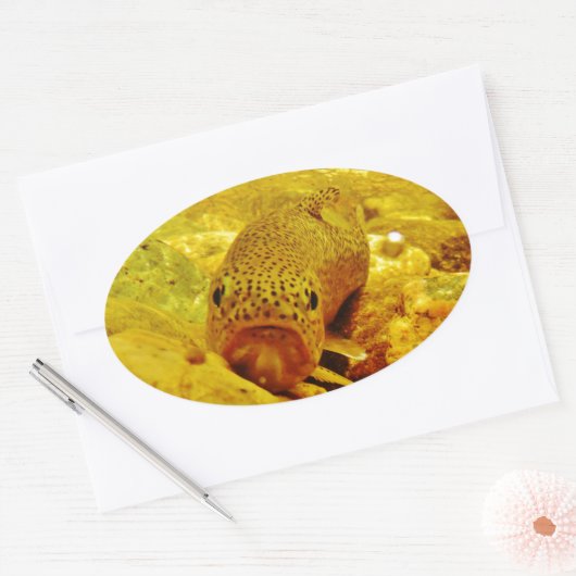 Forel in stroom ovale sticker (Envelop)