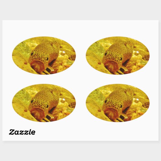 Forel in stroom ovale sticker (Vel)