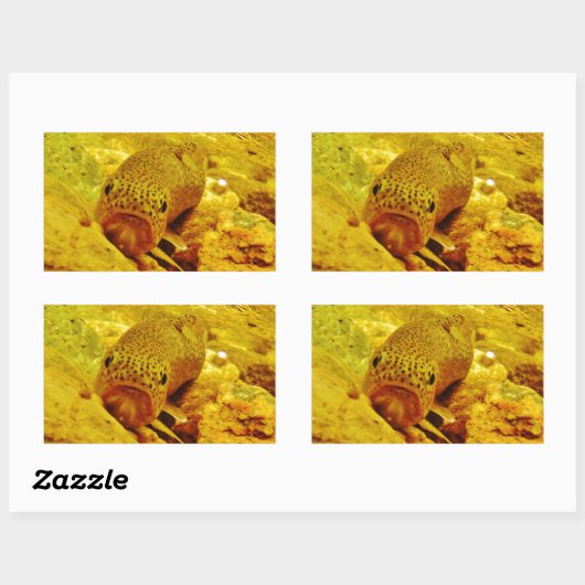 Forel in stroom rechthoekige sticker (Vel)