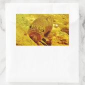 Forel in stroom rechthoekige sticker (Tas)