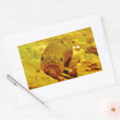 Forel in stroom rechthoekige sticker (Envelop)