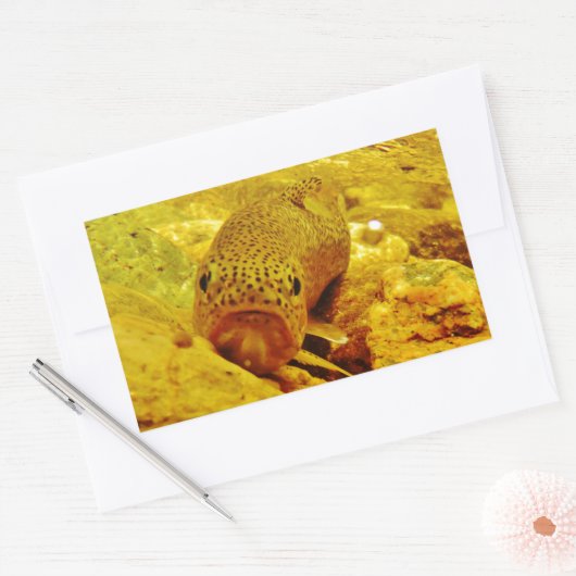 Forel in stroom rechthoekige sticker (Envelop)