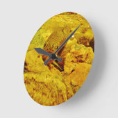 Forel in stroom ronde klok (Hoek)