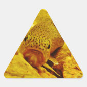 Forel in stroom sticker (Voorkant)