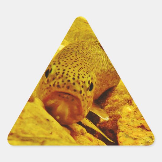 Forel in stroom sticker (Voorkant)