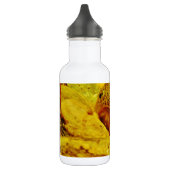 Forel in stroom waterfles  (Links)