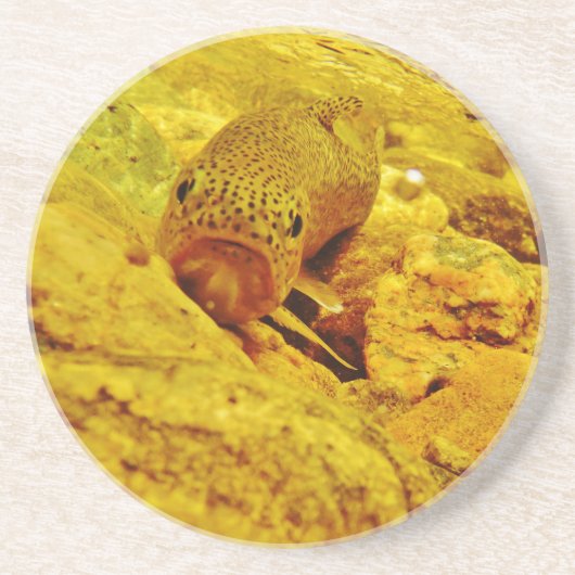 Forel in stroom zandsteen onderzetter (Voorkant)