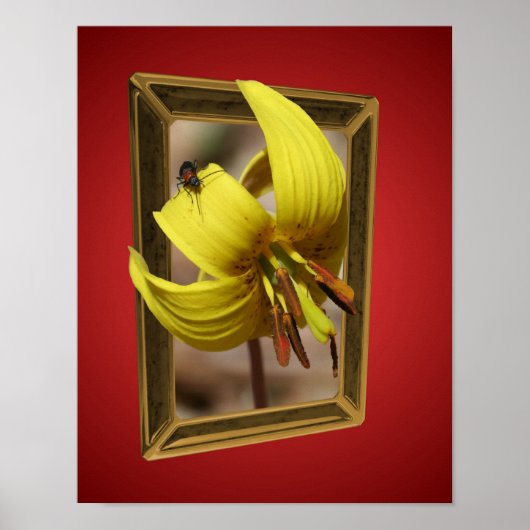 Forel Lily Flower Out of Bounds Art Poster (Voorkant)