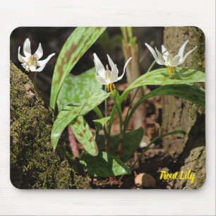 Forel Lily Muismat
