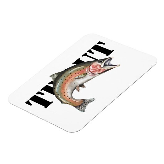 forel magneet (Linkerzijde)