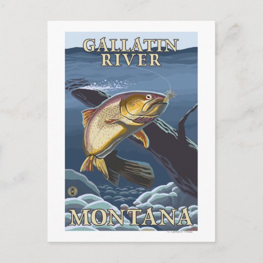 forel Vist de doorsnede Gallatin, Briefkaart (Voorkant)