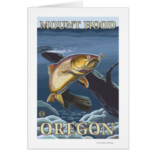 forel Vist dwarsdoorsnede - montagehout,