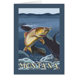 Forel Vist dwarsdoorsnede — Montana