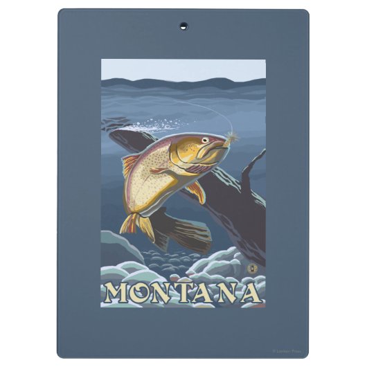 Forel Vist dwarsdoorsnede — Montana Klembord (Achterkant)