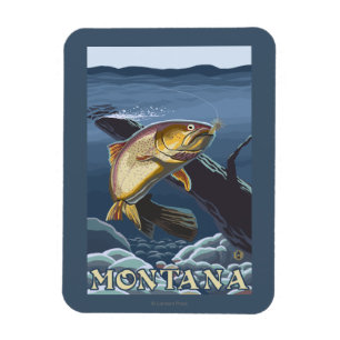 Forel Vist dwarsdoorsnede — Montana Magneet