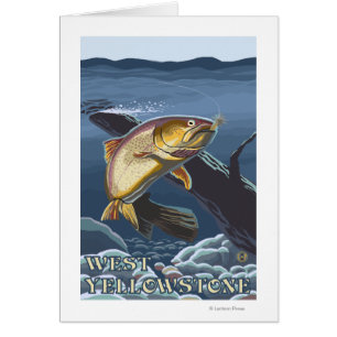 forel Vist dwarsdoorsnede - West-geelsteen,