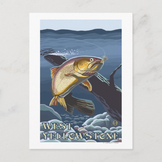 forel Vist dwarsdoorsnede - West-geelsteen, Briefkaart (Voorkant)