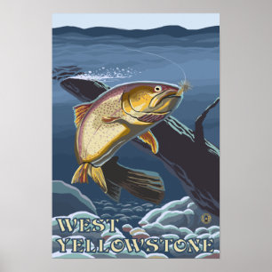 forel Vist dwarsdoorsnede - West-geelsteen, Poster