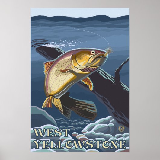 forel Vist dwarsdoorsnede - West-geelsteen, Poster (Voorkant)