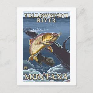 Forel Vist kruispunt 5 Briefkaart