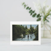 Forel Vist nabij Escanaba, Michigan  Briefkaart (Staand voorkant)