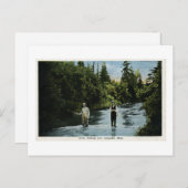 Forel Vist nabij Escanaba, Michigan  Briefkaart (Voorkant / Achterkant)