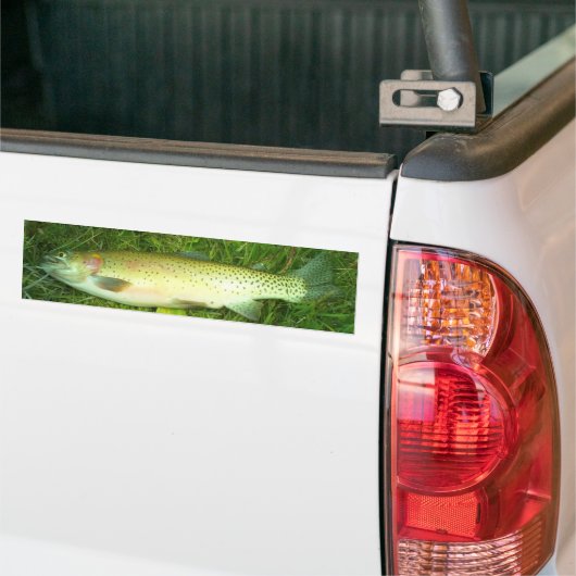 forel, vlieg, visserij bumpersticker (Op Truck)