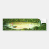 forel, vlieg, visserij bumpersticker (Voorkant)