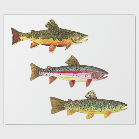 Forel vliegen - Brook, bruin, regenboog Cadeaupapier (Vlak)
