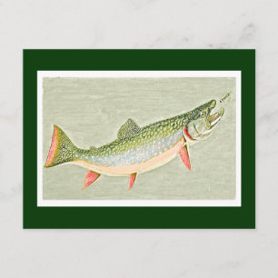  forel vliegende kunst kaart