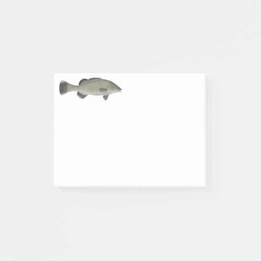 forelkabeljauw post-it® notes (Voorkant)