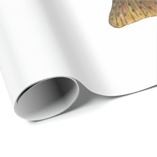 forelvisserij cadeaupapier (Rol Hoek)