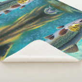 Forelvisserij Sherpa Deken (3/4)