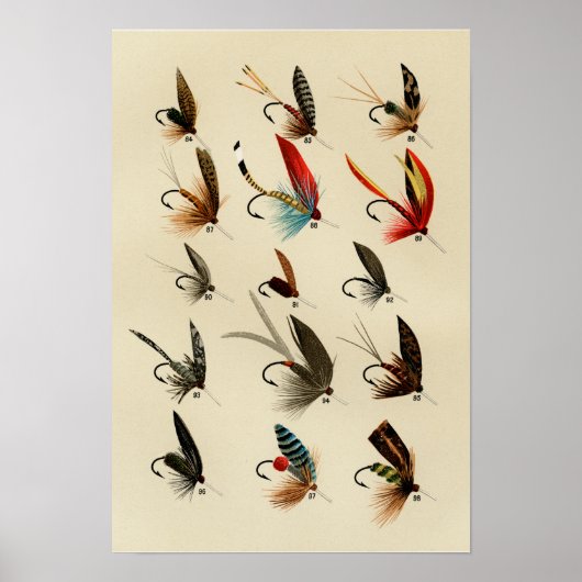 Forelvliegen 84 tot 98 Vintage Poster (Voorkant)