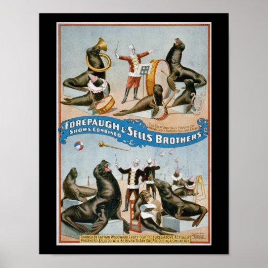 Forepaugh en Sells -  circuszeelui Poster (Voorkant)