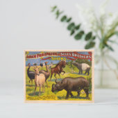 Forepaugh en Sells wonderbaarlijk beest Circus Pos Briefkaart (Staand voorkant)