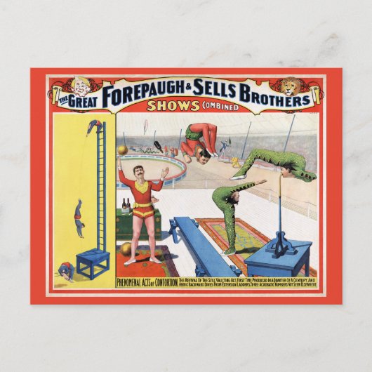 Forepaugh & Sells Brothers  Circus Poster Briefkaart (Voorkant)