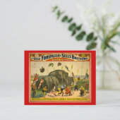Forepaugh & Sells Brothers Elephants Circus Poster Briefkaart (Staand voorkant)