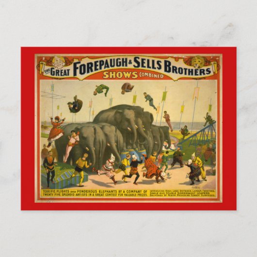 Forepaugh & Sells Brothers Elephants Circus Poster Briefkaart (Voorkant)