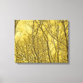 Forest Aglow Canvas Afdruk (Voorkant)