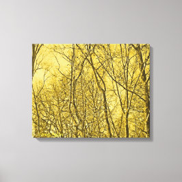Forest Aglow Canvas Afdruk