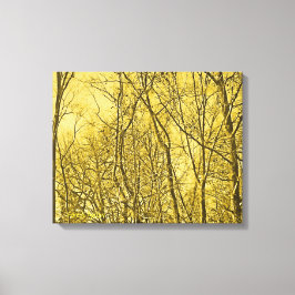 Forest Aglow Canvas Afdruk